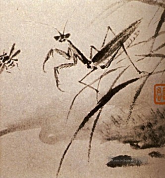  70 - Shitao Studien der Insekten Mante 1707 alte China Tinte